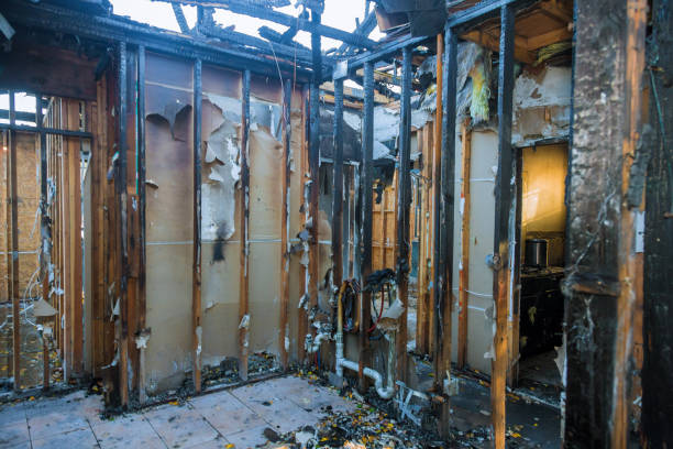 Professional Soot Cleanup technician working in Homer, AK